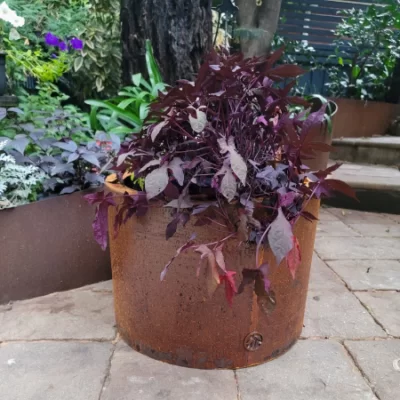 Corten Steel Planters, Contemporary Rustic Style