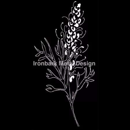 Grevillea Solo Pattern